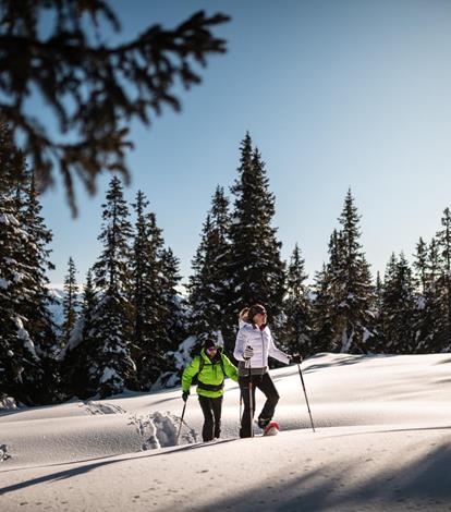 patrick-schwienbacher-rosskopf-winter-173